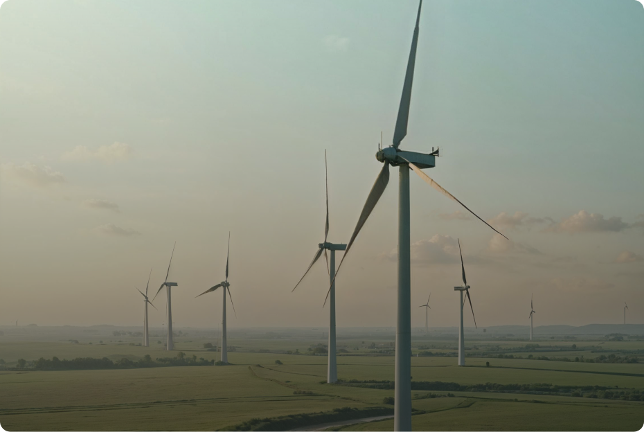 Why going green is good for business